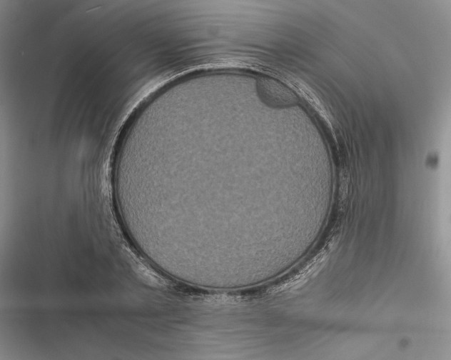 X0000116800789201001151121
