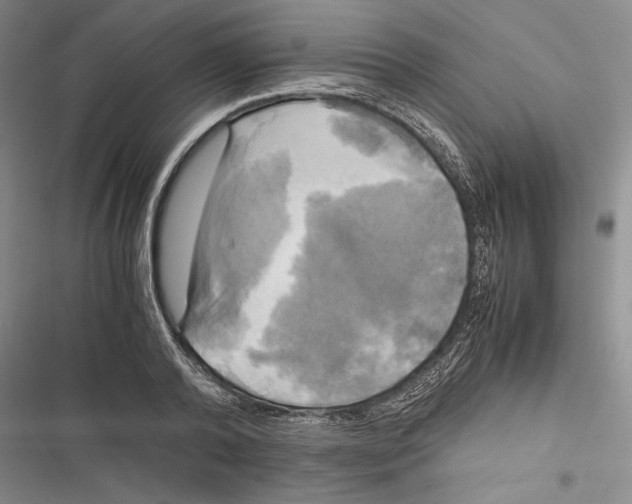 X0000116800792201001151121