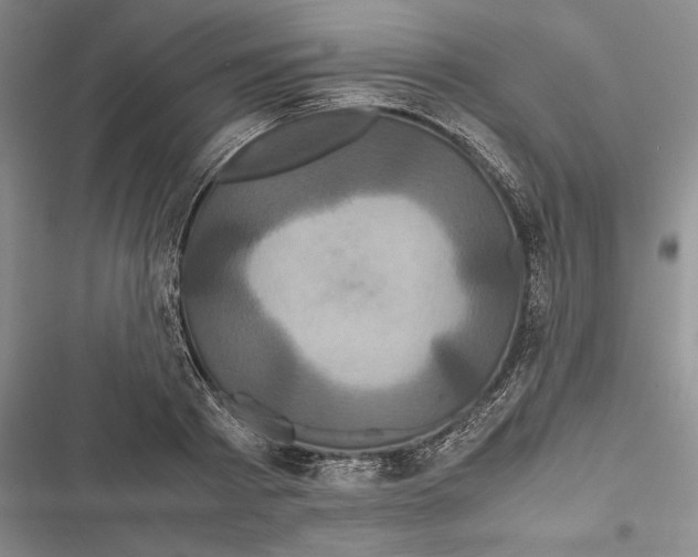 X0000116800793201001151121