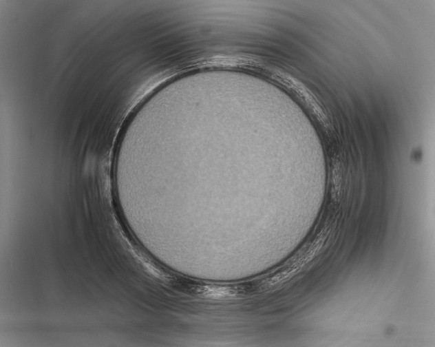 X0000116800794201001151121