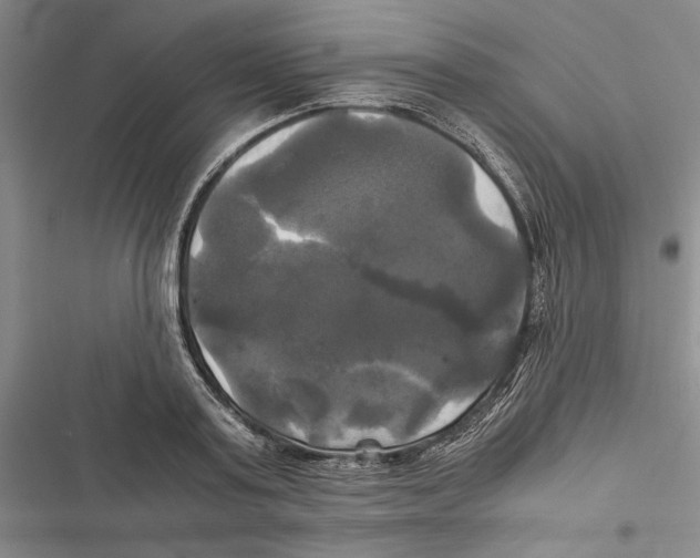 X0000116800795201001151121