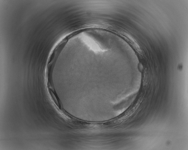 X0000116800796201001151121