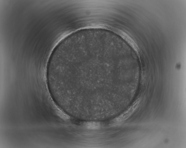 X0000116800797201001151121