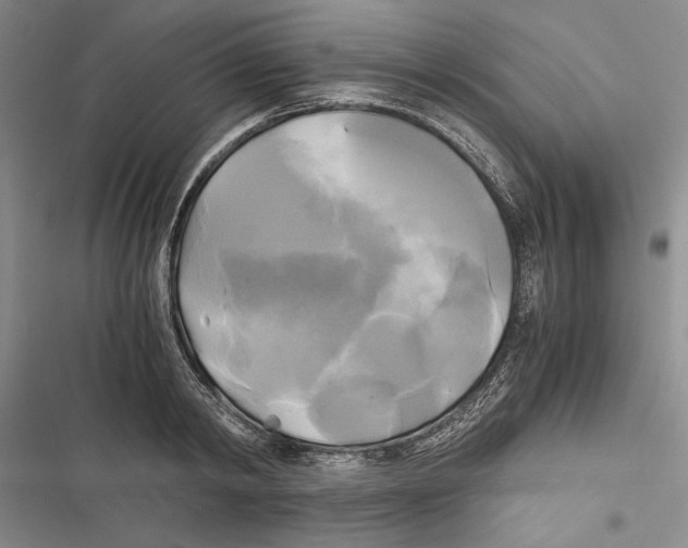 X0000116800798201001151121