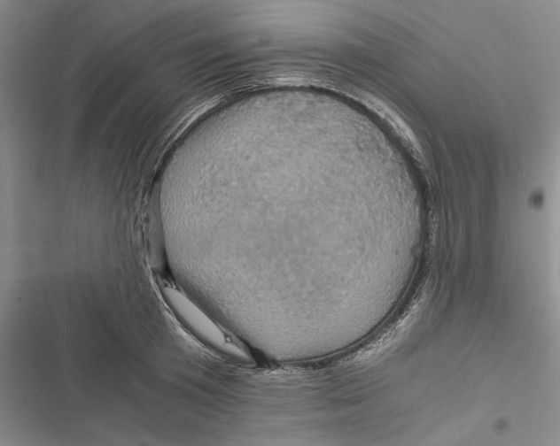 X0000116800801201001151121