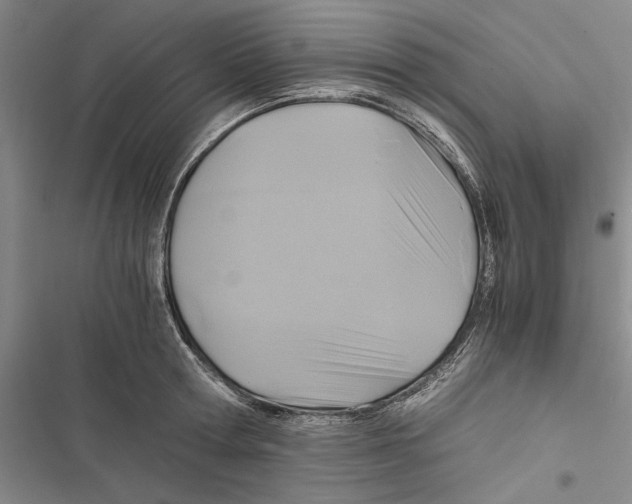 X0000116800802201001151121