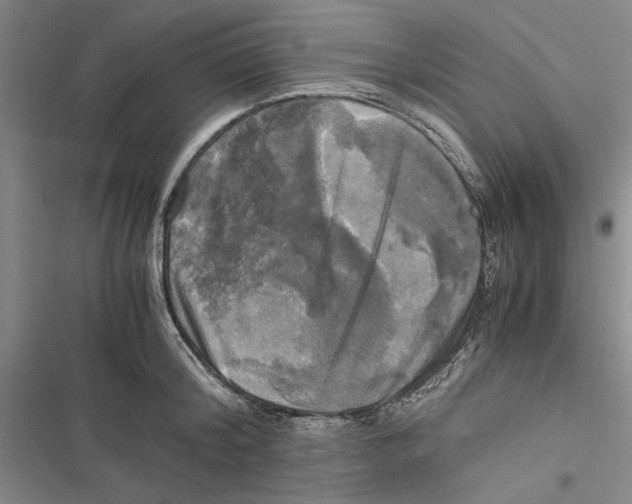 X0000116800804201001151121