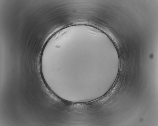 X0000116800806201001151121