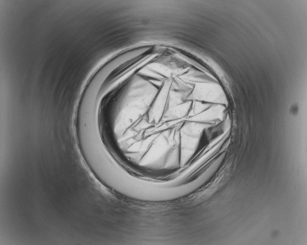 X0000116800807201001151121