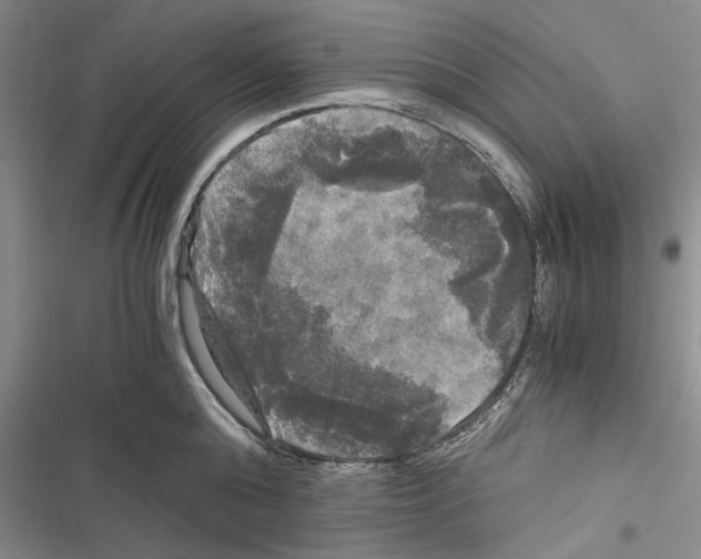 X0000116800808201001151121