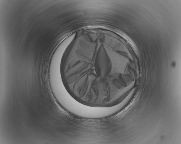 X0000116800809201001151121