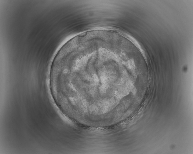 X0000116800811201001151121