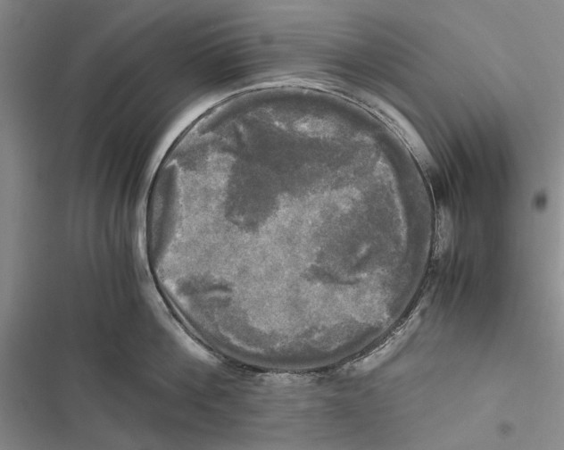 X0000116800812201001151121