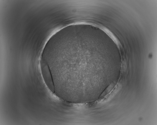 X0000116800813201001151121