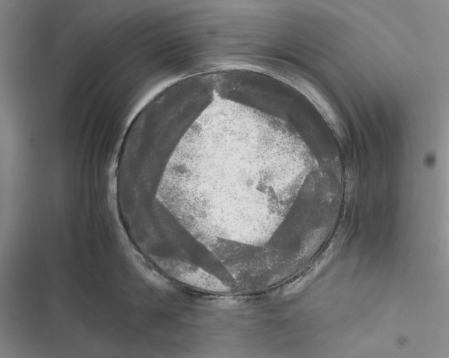 X0000116800814201001151121