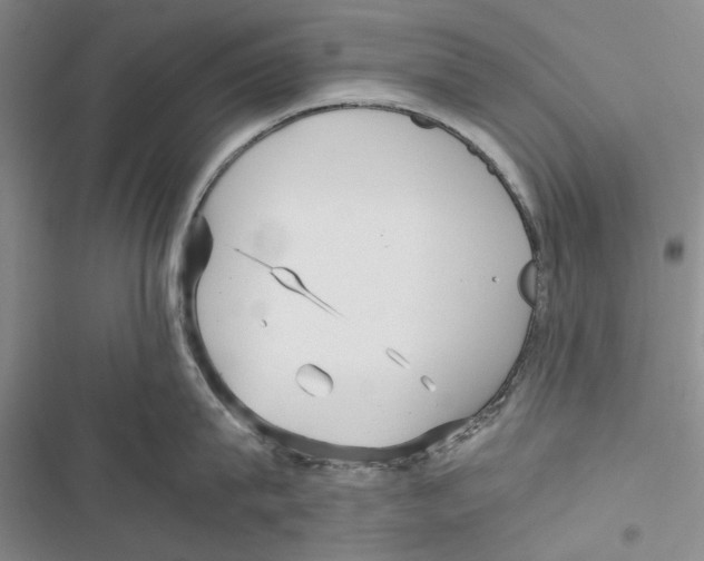 X0000116800815201001151121