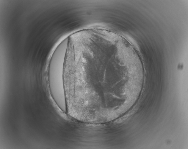 X0000116800816201001151121