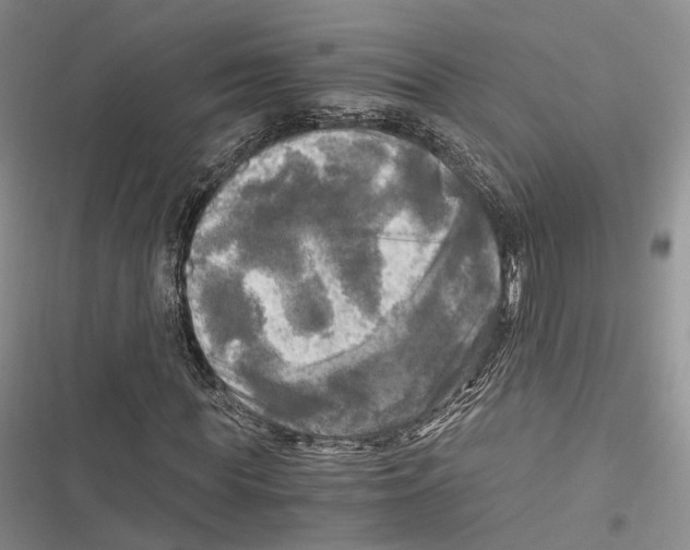 X0000116800819201001151120