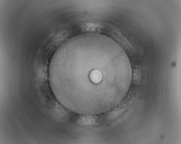 X0000116800820201001151120