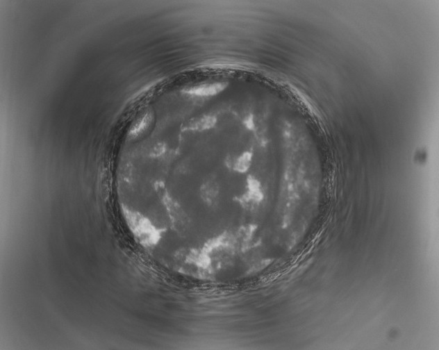 X0000116800821201001151120