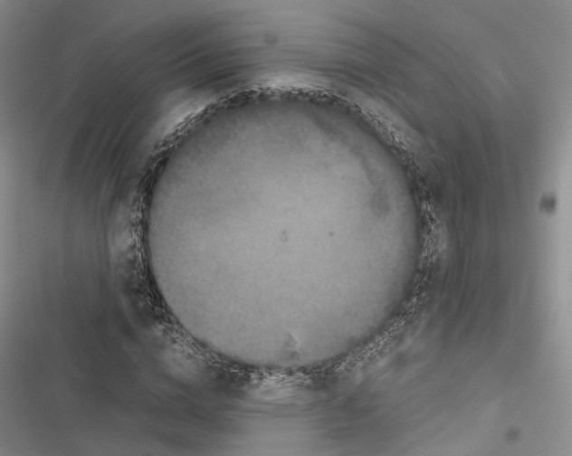 X0000116800824201001151120