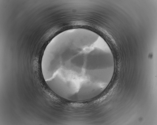 X0000116800825201001151120