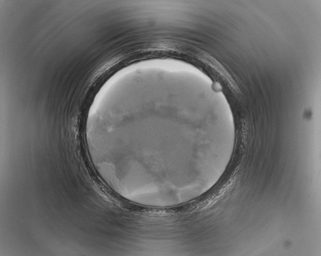 X0000116800826201001151120