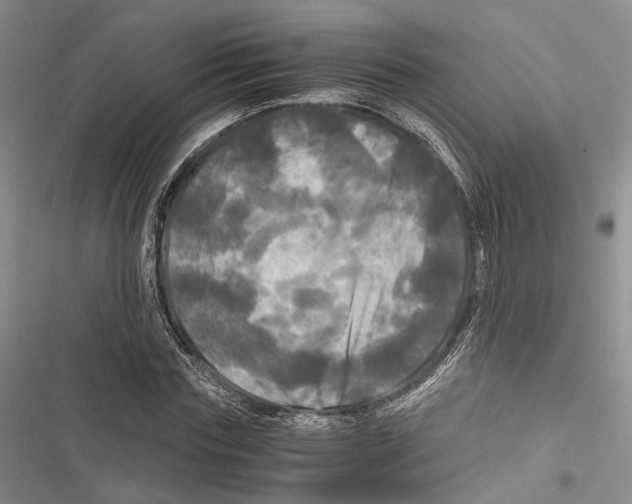 X0000116800827201001151120