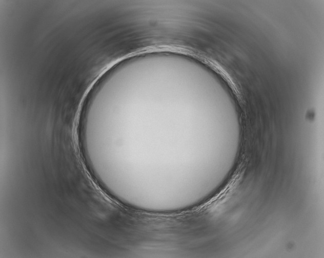X0000116800828201001151120