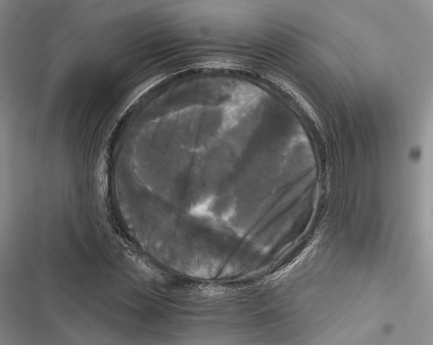 X0000116800829201001151121