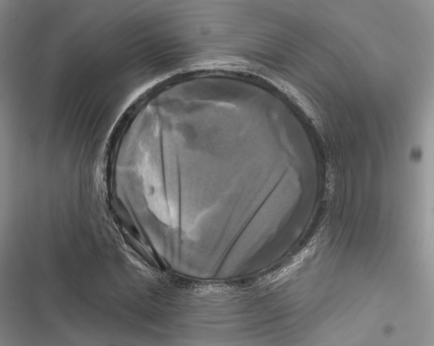 X0000116800830201001151121