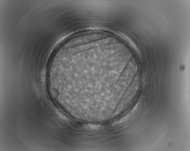 X0000116800831201001151121
