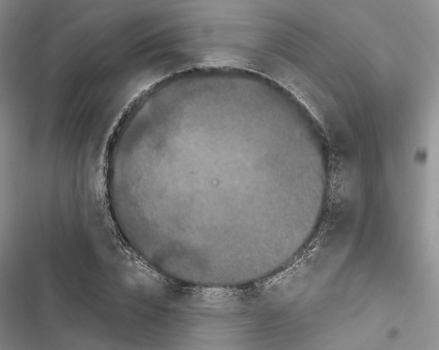 X0000116800832201001151121