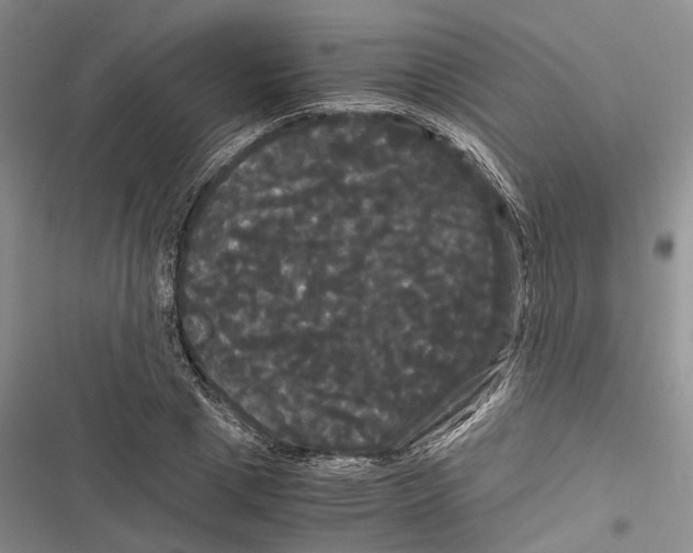 X0000116800833201001151121