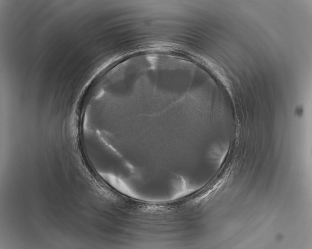 X0000116800835201001151121