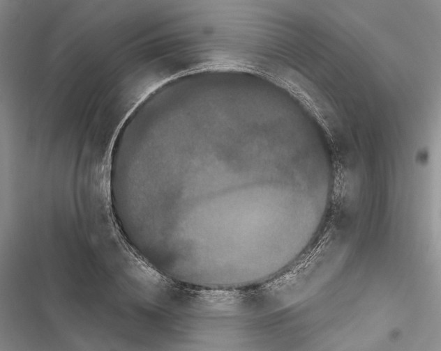 X0000116800836201001151121