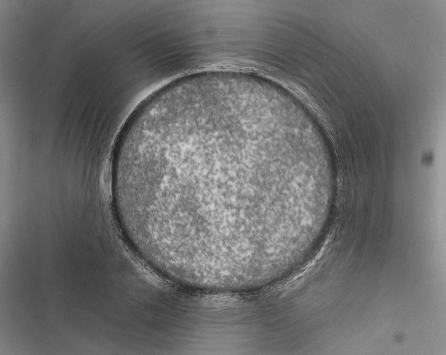 X0000116800838201001151121