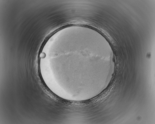 X0000116800840201001151121