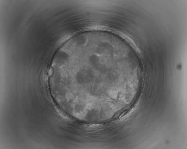 X0000116800841201001151121