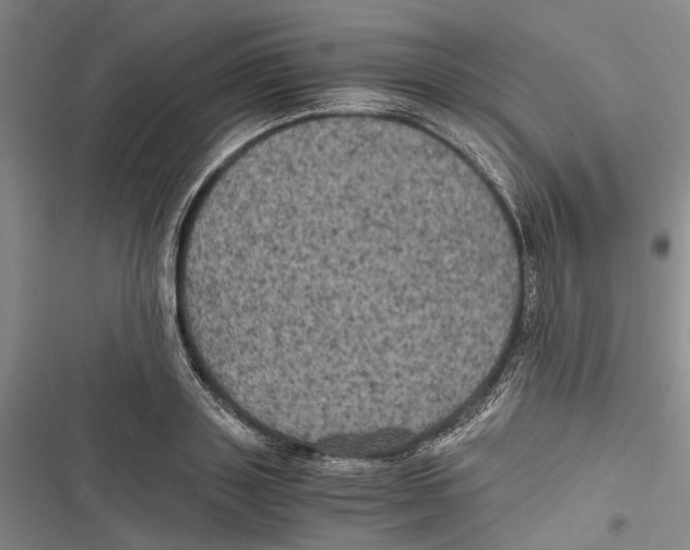 X0000116800843201001151121