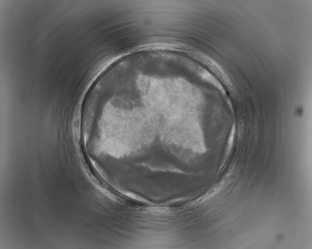 X0000116800844201001151121