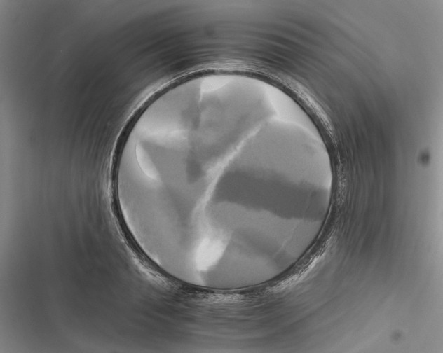 X0000116800845201001151121