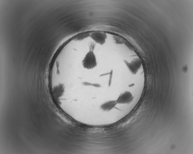 X0000116800846201001151121
