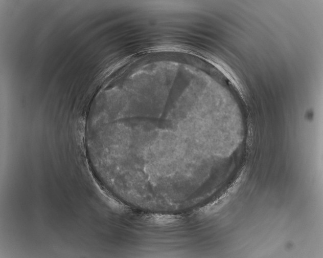 X0000116800849201001151121