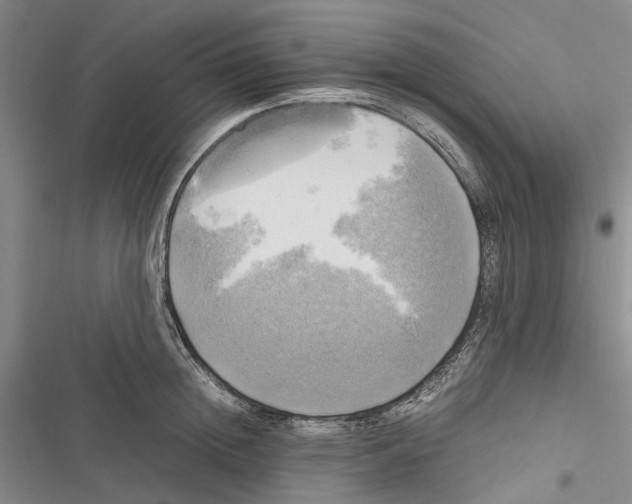 X0000116800852201001151121