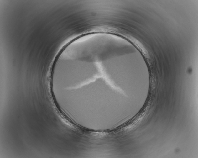 X0000116800854201001151121