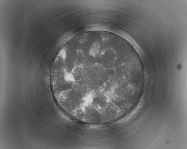 X0000116800857201001151121