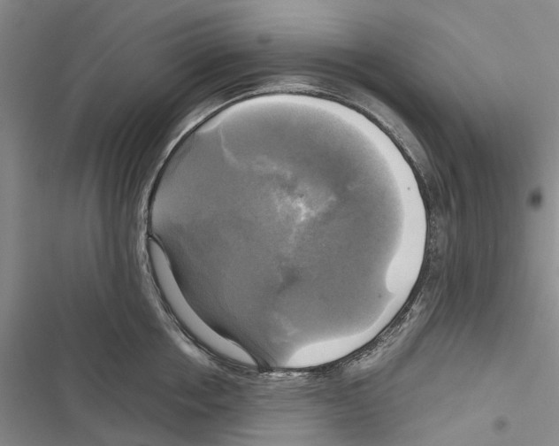 X0000116800858201001151121