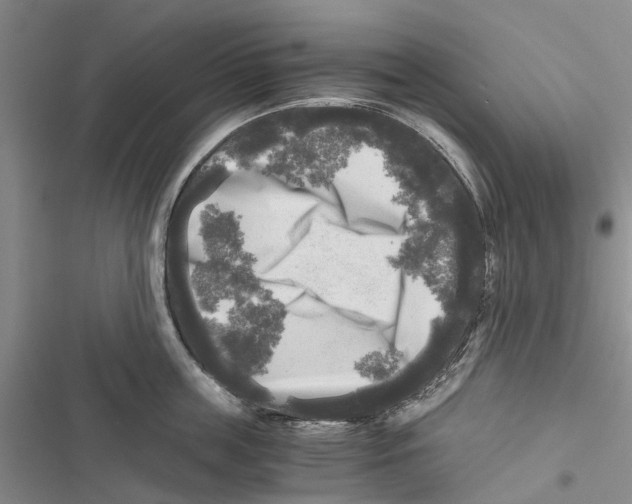 X0000116800859201001151121