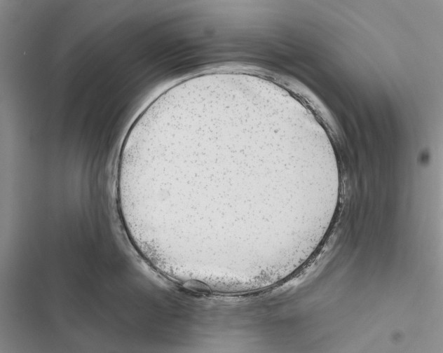 X0000116800860201001151121